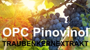 OPC Pinovinol